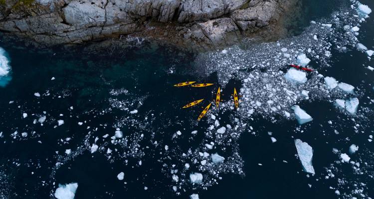 Les îles sauvages de l'Atlantique Sud - Albatros Expeditions 10