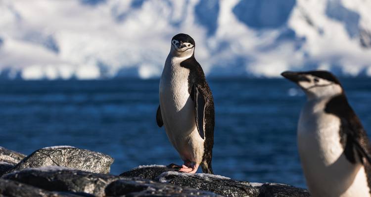 Quest for the Circle - Albatros Expeditions 8
