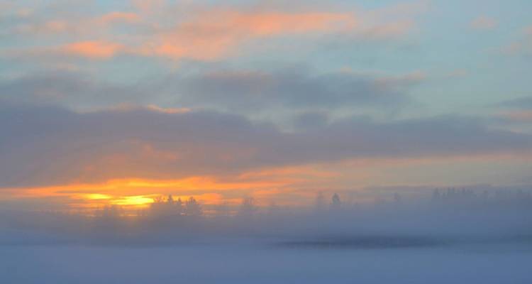 Sonnenuntergang über einer nebligen Waldlandschaft.