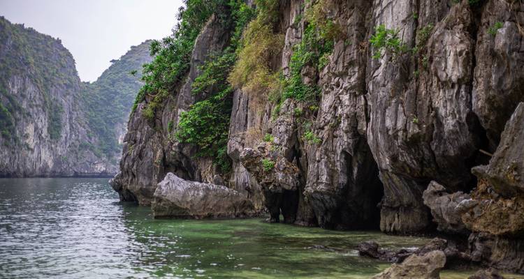 Côte rocheuse avec verdure dans la baie d'Halong.