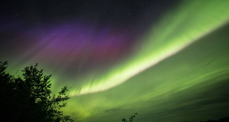 Feast Your Eyes - Northern Lights in Autumn from Vancouver - Landsby 4