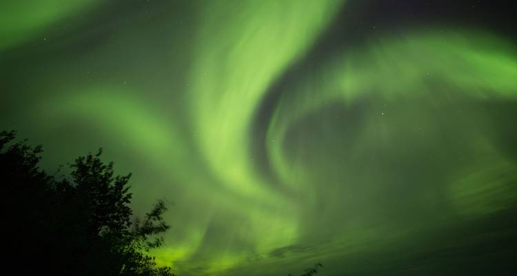 Feast Your Eyes - Northern Lights in Autumn from Vancouver - Landsby 6