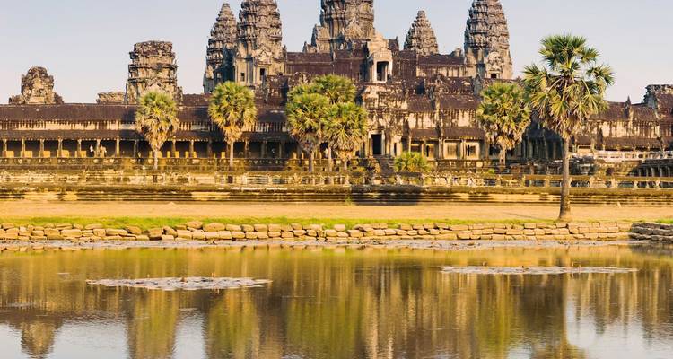 Vista matutina de Angkor Wat reflejándose en un estanque tranquilo con palmeras.