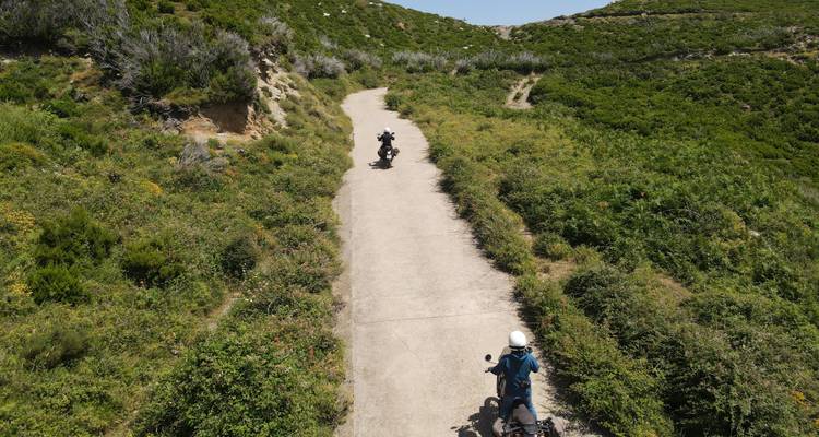 Two motorcyclists riding on a narrow forest road.