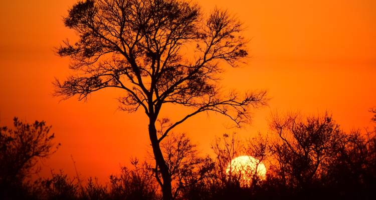 3 Day Kruger BIG 5 Safari from Johannesburg - Africa Moja Tours & Transfers 2