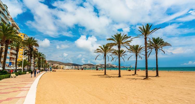 Panoramisch strandtafereel met palmbomen en heldere blauwe luchten.