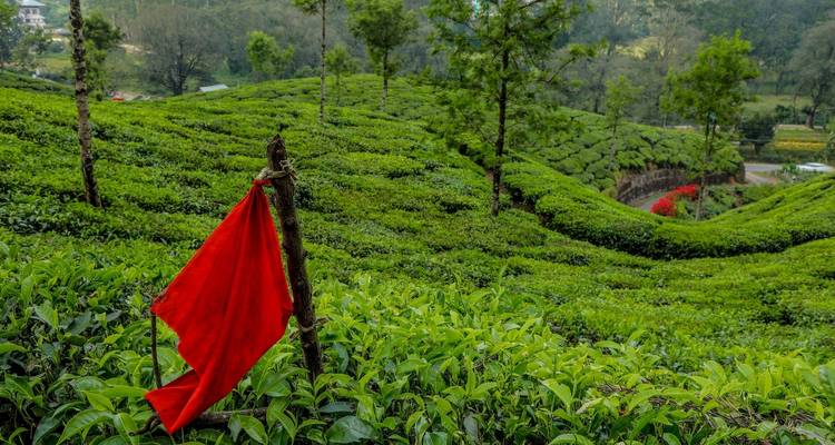 Inde du Sud classique - Truly India Tours & Travels 8