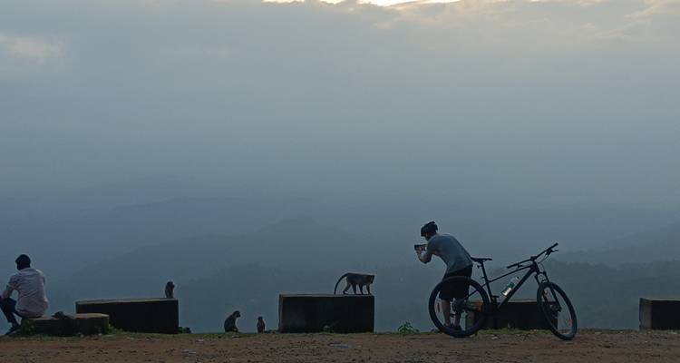 Persoon die apen fotografeert bij een uitkijkpunt, met heuvels op de achtergrond.