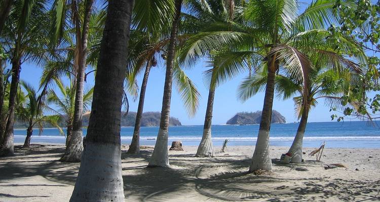 Plage tropicale ombragée avec des palmiers penchés encadrant l'océan bleu et les îlots lointains