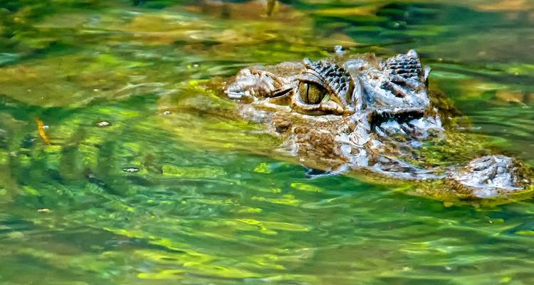 Costa Rica Coast to Coast - 10 Days - On The Go Tours 4