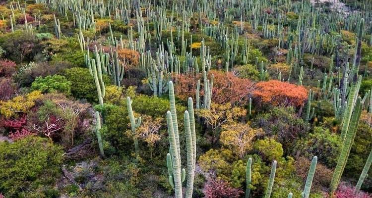South Mexico Wonders - LUPITA OVERLAND 7