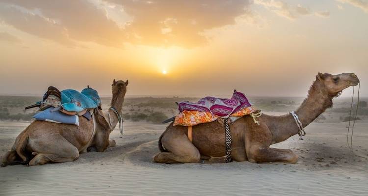 13 Días de Experiencia Especial Diwali en Rajasthan - One World Adventures 2