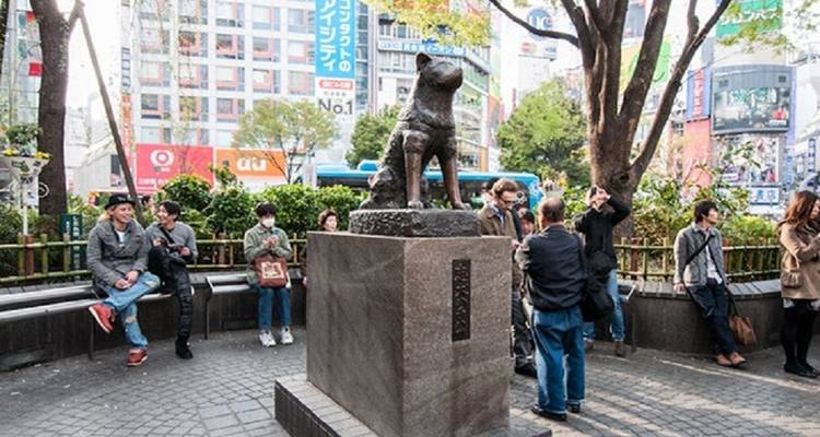 Viaje educativo y divertido en familia de 12 Días por Japón (guía y conductor privados) - UME Travel Co. Ltd 2