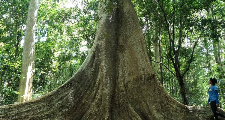 3 jours/2 nuits à Nam Cat Tien - Sentiers écologiques - Safari nocturne - Randonnée au gibbon - Lac des crocodiles - Excursion en bateau - Ideal Travel Asia 2