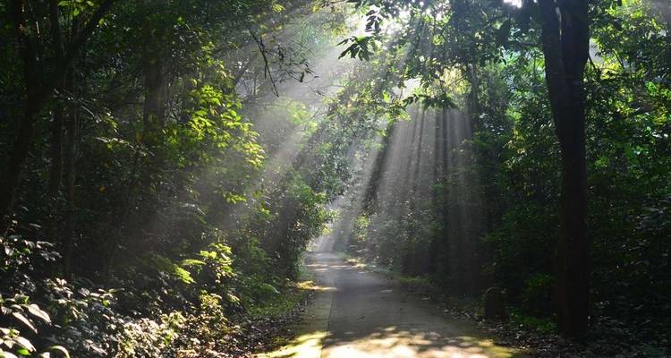 Aventure douce au nord du Vietnam - Exploration du parc national de Cuc Phuong - 10 jours/9 nuits - Ideal Travel Asia 1