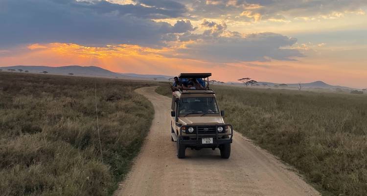 5-Days Fly-in from Zanzibar private Luxury safari Serengeti, Ngorongoro & Tarangire - African Polecat Safaris 9