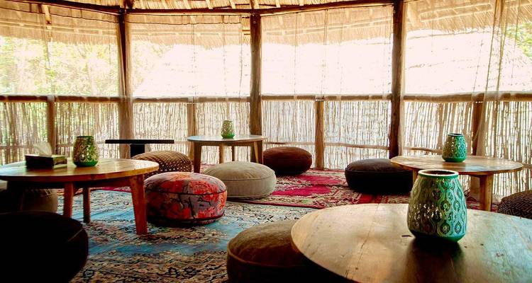 5-Days Fly-in from Zanzibar private Luxury safari Serengeti, Ngorongoro & Tarangire - African Polecat Safaris 6