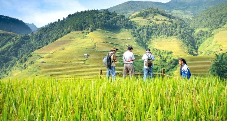Group of tourists exploring terraced fields.