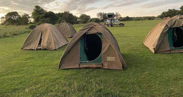 Single tent in a grassy field with a vehicle nearby.