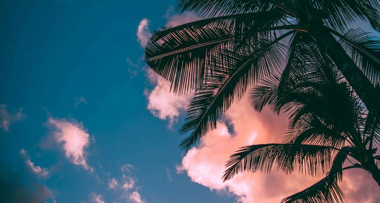 7 Day Hawaii Experience (Bilingual: Chinese, English) - Intertrips 8