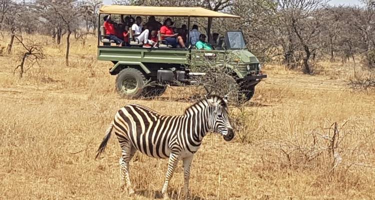 4 Day | Royal Marloth Kruger National Park - Timeline Travel DMC 1