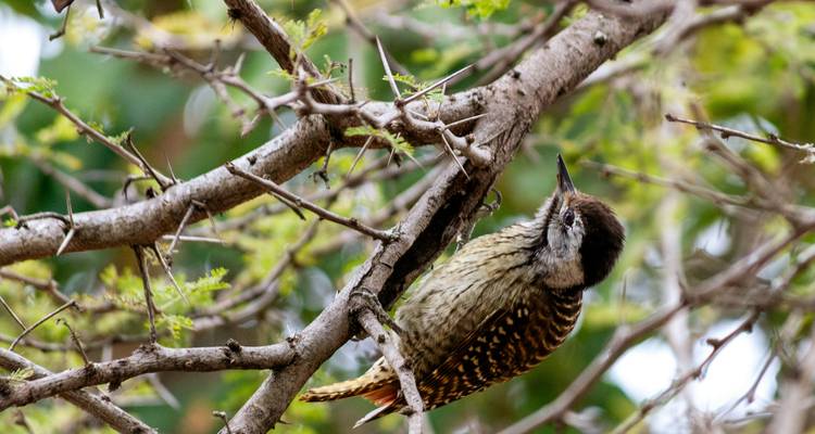 4 Day | Royal Marloth Kruger National Park - Timeline Travel DMC 4