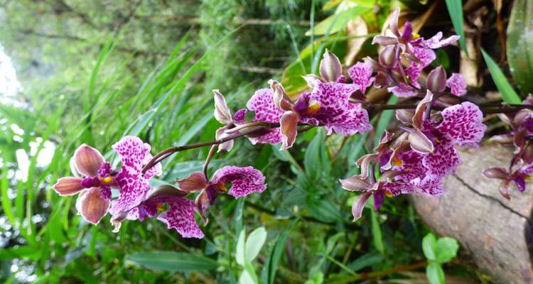 Pure Nature in Northern Ecuador - 7 Days - Authentic Ecuador 3