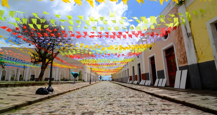 Lo mejor de Brasil - Miller Reisen 4