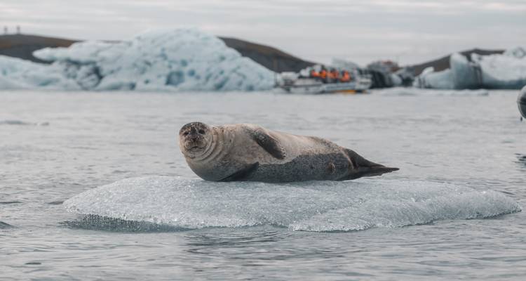 Combo de 17 Días Círculo de Islandia y Fiordos Occidentales de Islandia - GJ Travel 10