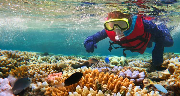 Great Barrier Reef Explorer (Snorkel To Adventure) - Contiki 6