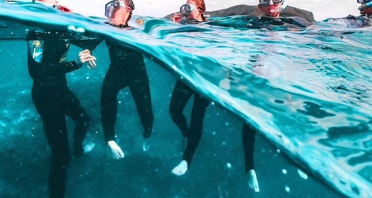 Los buceadores de superficie en trajes de neopreno flotan parcialmente sumergidos en las aguas tropicales cristalinas de la Gran Barrera de Coral.