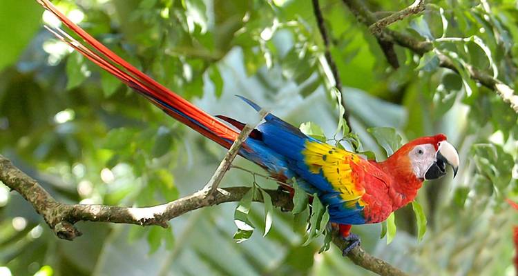 Costa Rica - Lo más destacado y la playa - Paradise Reise Service 1