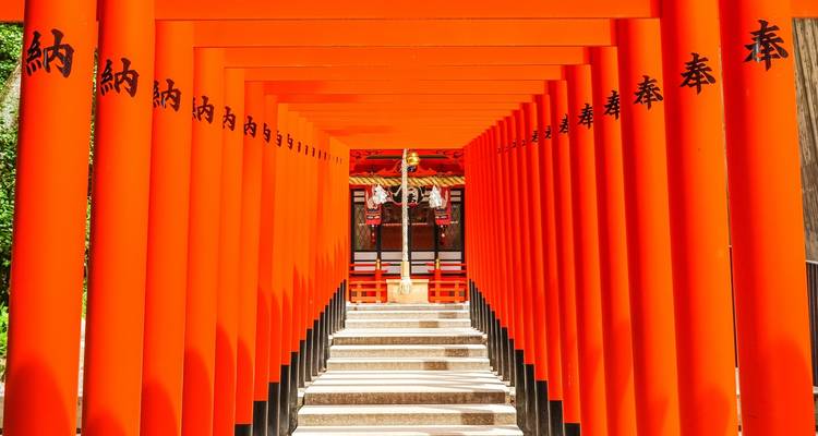 Japan, Great Discovery 2025 - Wingbuddy 2