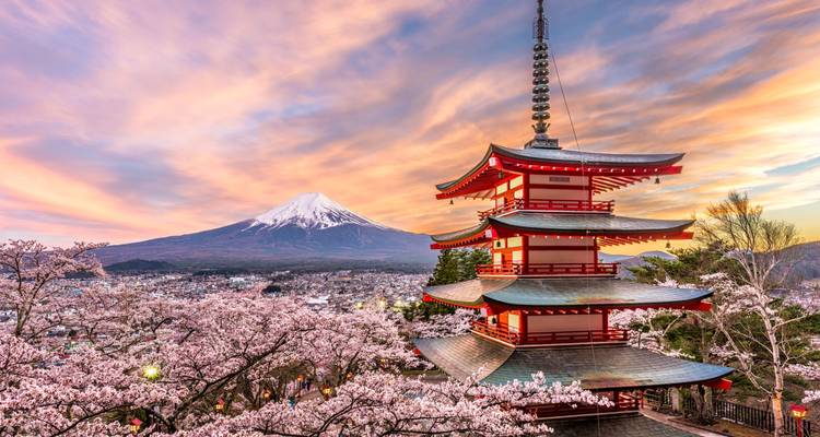 Japan, Great Discovery 2025 - Wingbuddy 9