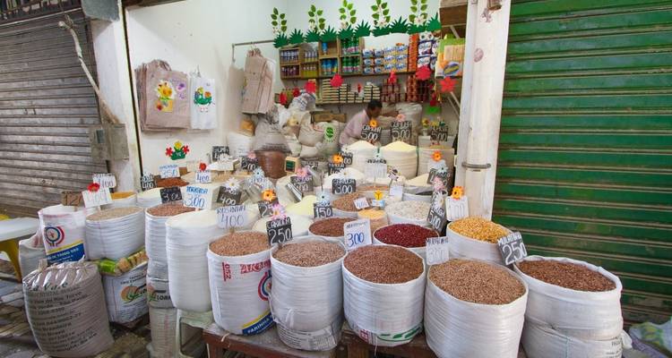 Expérience afro-culturelle à Salvador - Nattrip 7