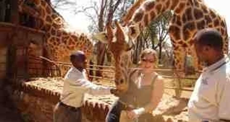 El safari completo - Absolute Africa 4