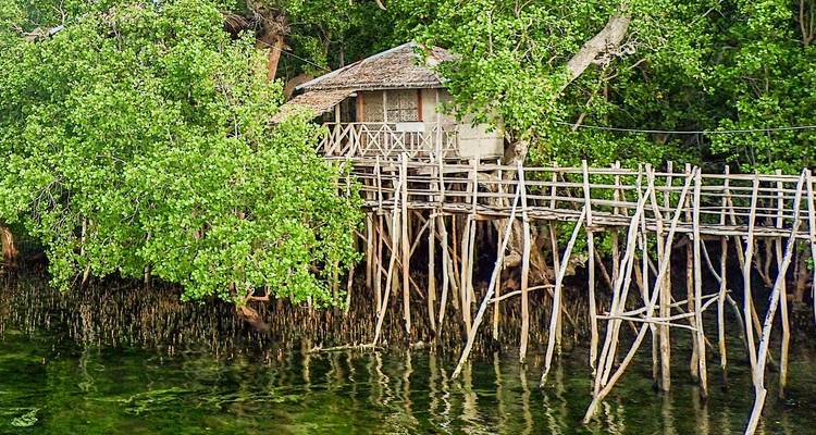 Tour des Philippines à la découverte des îles (sur mesure) - Odynovo 9