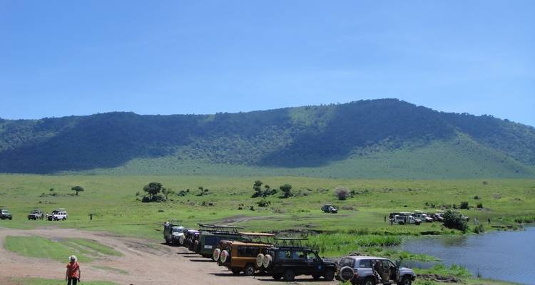 Savannelandschap met voertuigen en heuvels.