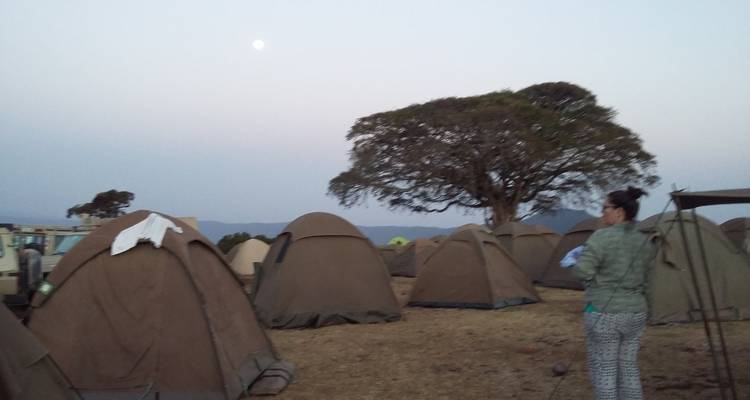 Kampeerterrein met tenten en een eenzame boom in de schemering.