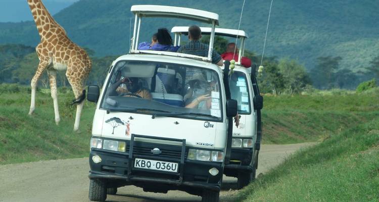 Safari dans la réserve d'Olpejeta - 3 jours et 2 nuits - MAJESTIC QUEST TOURS AND TRAVEL 2