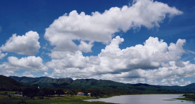 Río de Janeiro y la fauna del Pantanal - Nattrip 7
