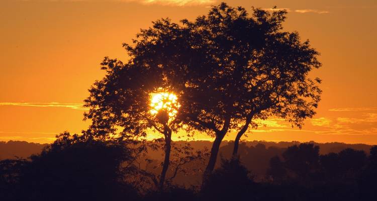 Río de Janeiro y la fauna del Pantanal - Nattrip 8
