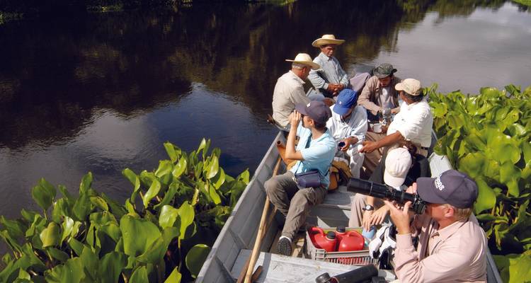 Río de Janeiro y la fauna del Pantanal - Nattrip 9