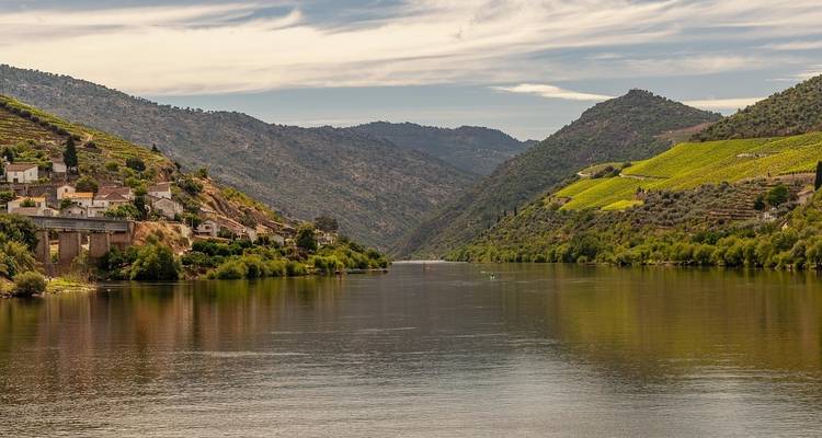 5 Day Porto Including Aveiro, Costa Nova, Douro Valley Cruise, Braga & Guimaraes - STM Tours LLC 6