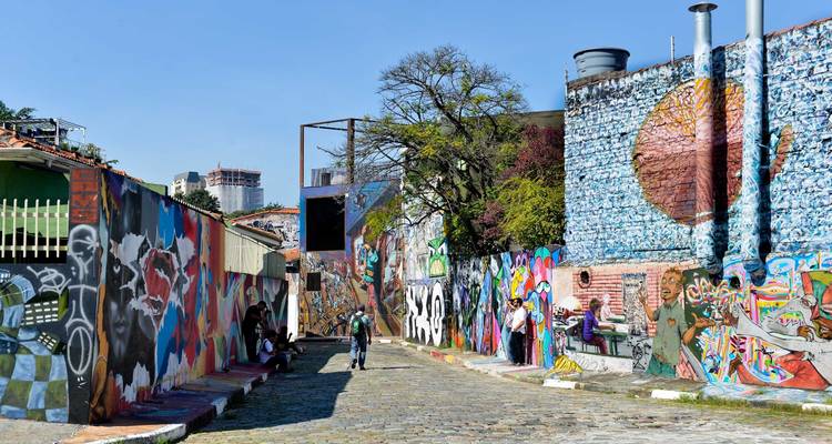 Experiencia cultural en São Paulo - Nattrip 6