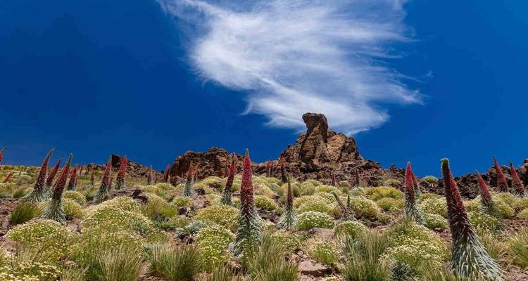 Villes et sentiers inconnus des îles Canaries - Yellowwood Adventures Ltd 10