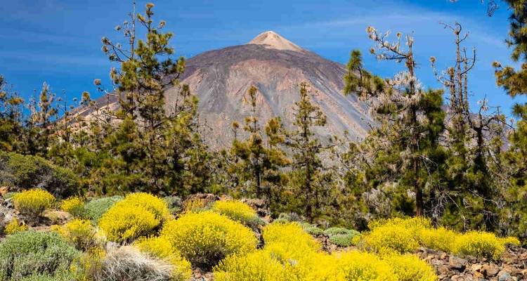 Randonnée dans les merveilleux paysages des îles Canaries - Yellowwood Adventures Ltd 1