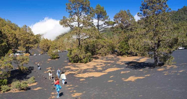Randonnée dans les merveilleux paysages des îles Canaries - Yellowwood Adventures Ltd 7