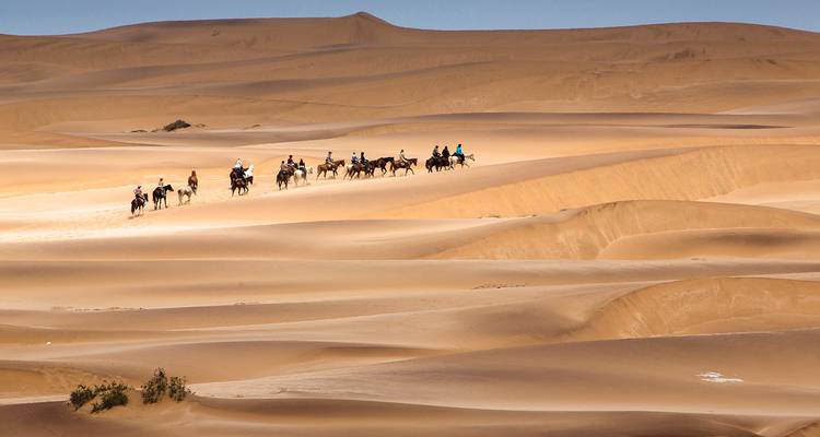 Windhoek: Etosha National Park To Sossusvlei - Local Safaris 4