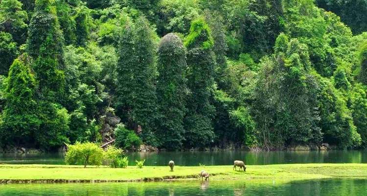 Mild Adventure North Vietnam - Exploring Ba Be National Park 10 Days/9 Nights - Ideal Travel Asia 2